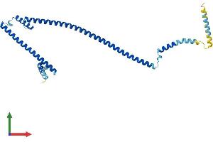 AlphaFold protein structure predicition of Human Recombinant HAUS1 Protein, UniprotID Q96CS2