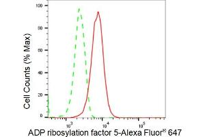 Flow cytometric analysis of ADP ribosylation factor 5 expression in HepG2 cells using ADP ribosylation factor 5 antibody (ABIN7797531), 1:2,000). (Recombinant ARF5 anticorps)