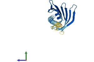 AlphaFold protein structure predicition of Human Recombinant PRELID3B Protein, UniprotID Q9Y3B1