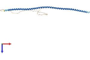 AlphaFold protein structure predicition of Mouse Recombinant Sycp3 Protein, UniprotID P70281