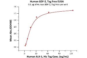 Immobilized Human GDF-2, Tag Free (ABIN6973076) at 1 μg/mL (100 μL/well) can bind Human ALK-1, His Tag (ABIN2180579,ABIN2180578) with a linear range of 2-16 ng/mL (QC tested). (GDF2 Protein (AA 320-429))