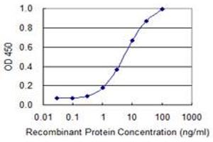 Detection limit for recombinant GST tagged BGLAP is 0. (Osteocalcin anticorps  (AA 52-100))
