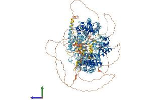 AlphaFold protein structure predicition of Human Recombinant SBNO1 Protein, UniprotID A3KN83