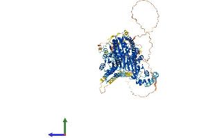 AlphaFold protein structure predicition of Human Recombinant IQCH Protein, UniprotID Q86VS3