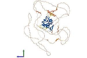 AlphaFold protein structure predicition of Human Recombinant EOMES Protein, UniprotID O95936