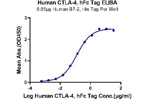 ELISA image for Cytotoxic T-Lymphocyte-Associated Protein 4 (CTLA4) (AA 36-161) protein (Fc Tag) (ABIN7274436)
