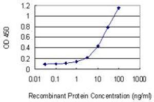 Detection limit for recombinant GST tagged MAP2K2 is 0.