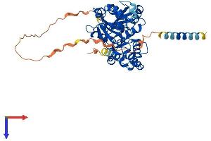 AlphaFold protein structure predicition of Mouse Recombinant Gxylt2 Protein, UniprotID Q810K9
