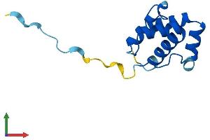 AlphaFold protein structure predicition of Mouse Recombinant Plac8 Protein, UniprotID Q9JI48