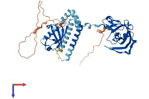 AlphaFold protein structure predicition of Human Recombinant DDI1 Protein, UniprotID Q8WTU0