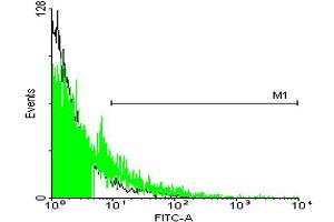 FACS analysis of 293 cells stained with STIP1 monoclonal antibody clone 2E11 (Green) and non-stained 293 cells (Black) as negative control.