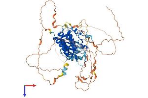 AlphaFold protein structure predicition of Human Recombinant TESK1 Protein, UniprotID Q15569
