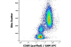 Flow cytometry surface staining pattern of human peripheral whole blood stained using anti-human CD65 (VIM8) purified antibody (concentration in sample 5 μg/mL, GAM APC). (CD65 anticorps)