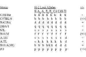 ELISA image for anti-MHC Class I H-2KdDd antibody (Biotin) (ABIN371168) (MHC Class I H-2KdDd anticorps (Biotin))