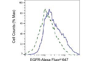 Validation of EGFR knockdown using flow cytometry. (Recombinant EGFR anticorps)