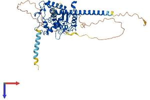 AlphaFold protein structure predicition of Mouse Recombinant Hs6st3 Protein, UniprotID Q9QYK4