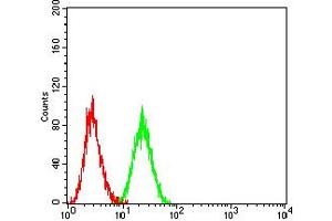 Flow cytometric analysis of Ramos cells using CD154 mouse mAb (green) and negative control (red). (CD40 Ligand anticorps  (AA 47-261))