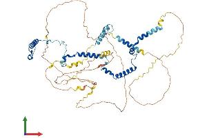 AlphaFold protein structure predicition of Mouse Recombinant Phactr1 Protein, UniprotID Q2M3X8