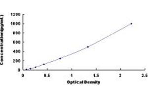 Typical standard curve (FGF11 Kit ELISA)