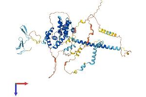 AlphaFold protein structure predicition of Human Recombinant BRF1 Protein, UniprotID Q92994