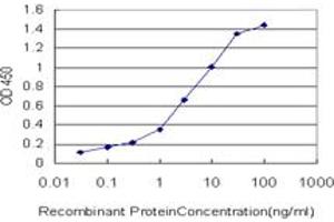 anti-NFKB Inhibitor Interacting Ras-Like 1 (NKIRAS1) (AA 1-100) antibody