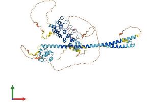 AlphaFold protein structure predicition of Human Recombinant ANKS3 Protein, UniprotID Q6ZW76