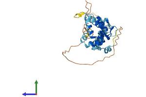 AlphaFold protein structure predicition of Human Recombinant KCNIP2 Protein, UniprotID Q9NS61