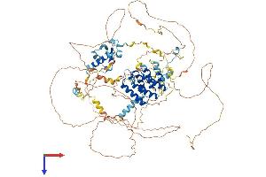 AlphaFold protein structure predicition of Human Recombinant LARP1B Protein, UniprotID Q659C4