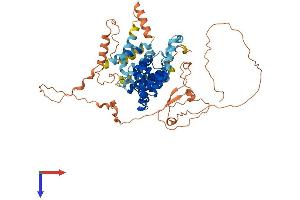 AlphaFold protein structure predicition of Human Recombinant TBC1D3D Protein, UniprotID A0A087WVF3