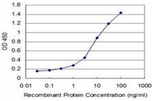 Detection limit for recombinant GST tagged FOXF2 is approximately 0. (FOXF2 anticorps  (AA 346-443))