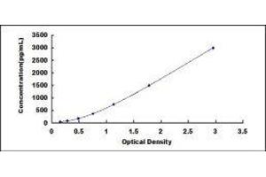 Periostin (POSTN) ELISA Kit
