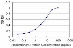 Detection limit for recombinant GST tagged PTF1A is approximately 0. (PTF1A anticorps  (AA 250-328))