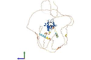 AlphaFold protein structure predicition of Mouse Recombinant Etv3 Protein, UniprotID Q8R4Z4
