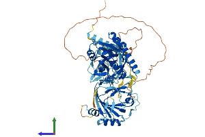 AlphaFold protein structure predicition of Mouse Recombinant Alkbh8 Protein, UniprotID Q80Y20