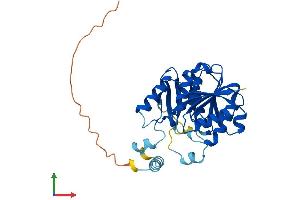 AlphaFold protein structure predicition of Mouse Recombinant Camkmt Protein, UniprotID Q3U2J5