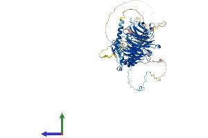 AlphaFold protein structure predicition of Human Recombinant DNAI1 Protein, UniprotID Q9UI46
