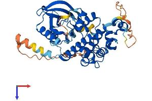 AlphaFold protein structure predicition of Human Recombinant MAP2K2 Protein, UniprotID P36507