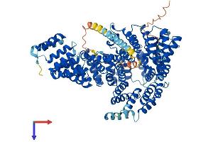 AlphaFold protein structure predicition of Human Recombinant NAA15 Protein, UniprotID Q9BXJ9