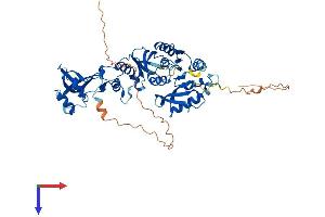 AlphaFold protein structure predicition of Human Recombinant TRMT5 Protein, UniprotID Q32P41