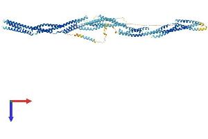 AlphaFold protein structure predicition of Human Recombinant SYNE3 Protein, UniprotID Q6ZMZ3
