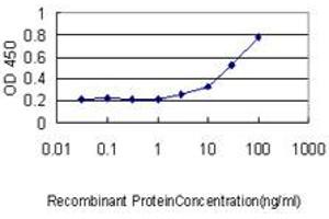 Detection limit for recombinant GST tagged KLF7 is approximately 0.