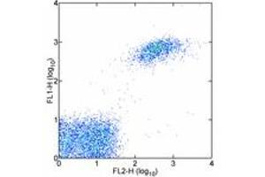 Image no. 1 for anti-Integrin Alpha2b (CD41) antibody (FITC) (ABIN473739) (Integrin Alpha2b anticorps  (FITC))