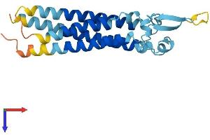 AlphaFold protein structure predicition of Human Recombinant TM4SF19 Protein, UniprotID Q96DZ7