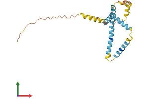 AlphaFold protein structure predicition of Human Recombinant FUNDC2 Protein, UniprotID Q9BWH2