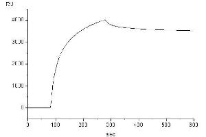 Target binding kinetics (Biacore (IgE Protéine)