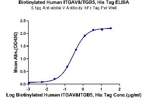 Immobilized Anti-alpha V Antibody, hFc Tag at 1 μg/mL (100 μL/well) on the plate.