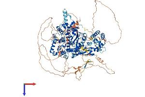AlphaFold protein structure predicition of Human Recombinant FAM120A Protein, UniprotID Q9NZB2