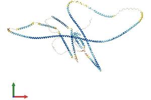 AlphaFold protein structure predicition of Human Recombinant ERC1 Protein, UniprotID Q8IUD2