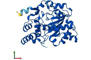 AlphaFold protein structure predicition of Human Recombinant SULT1E1 Protein, UniprotID P49888