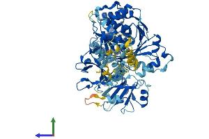 AlphaFold protein structure predicition of Human Recombinant SLC27A5 Protein, UniprotID Q9Y2P5